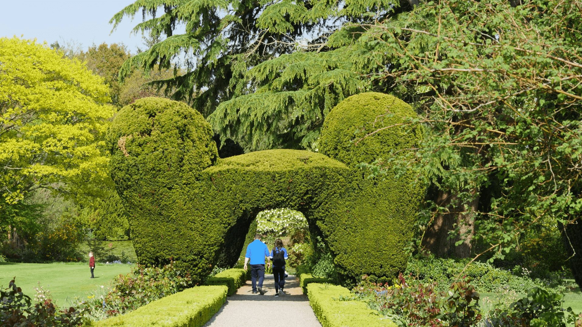 Couple walking through a lush green hedge arch at the Altamont Gardens in Co. Carlow, Ireland