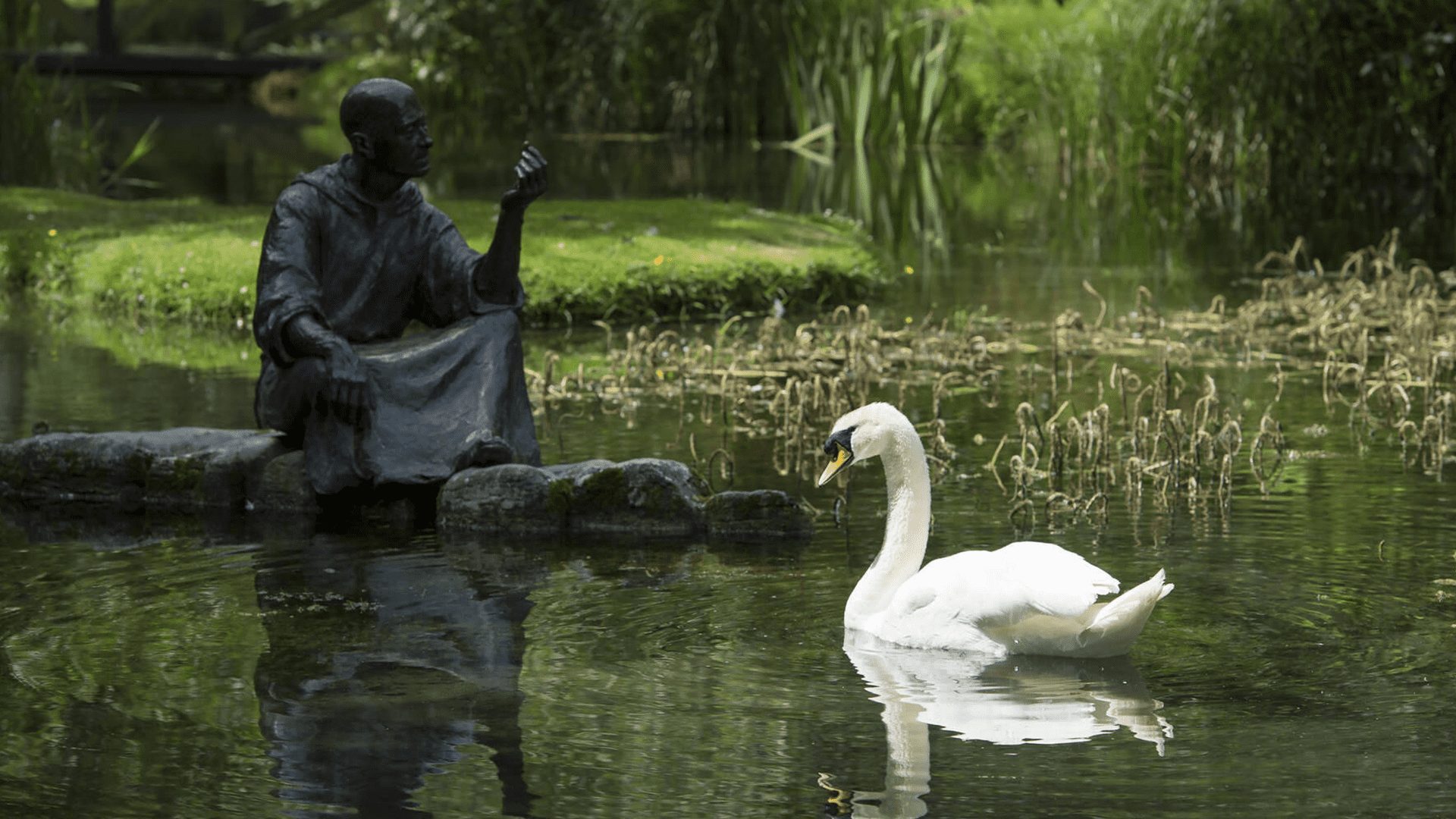 Irish National Stud And Japanese Gardens Co Kildare