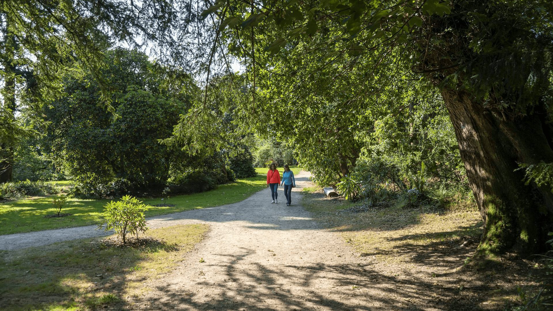 Kilmacurragh The National Botanic Gardens Co Wcklow