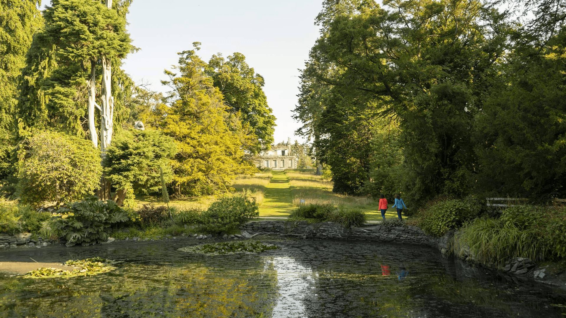 Kilmacurragh The National Botanic Gardens Co Wcklow
