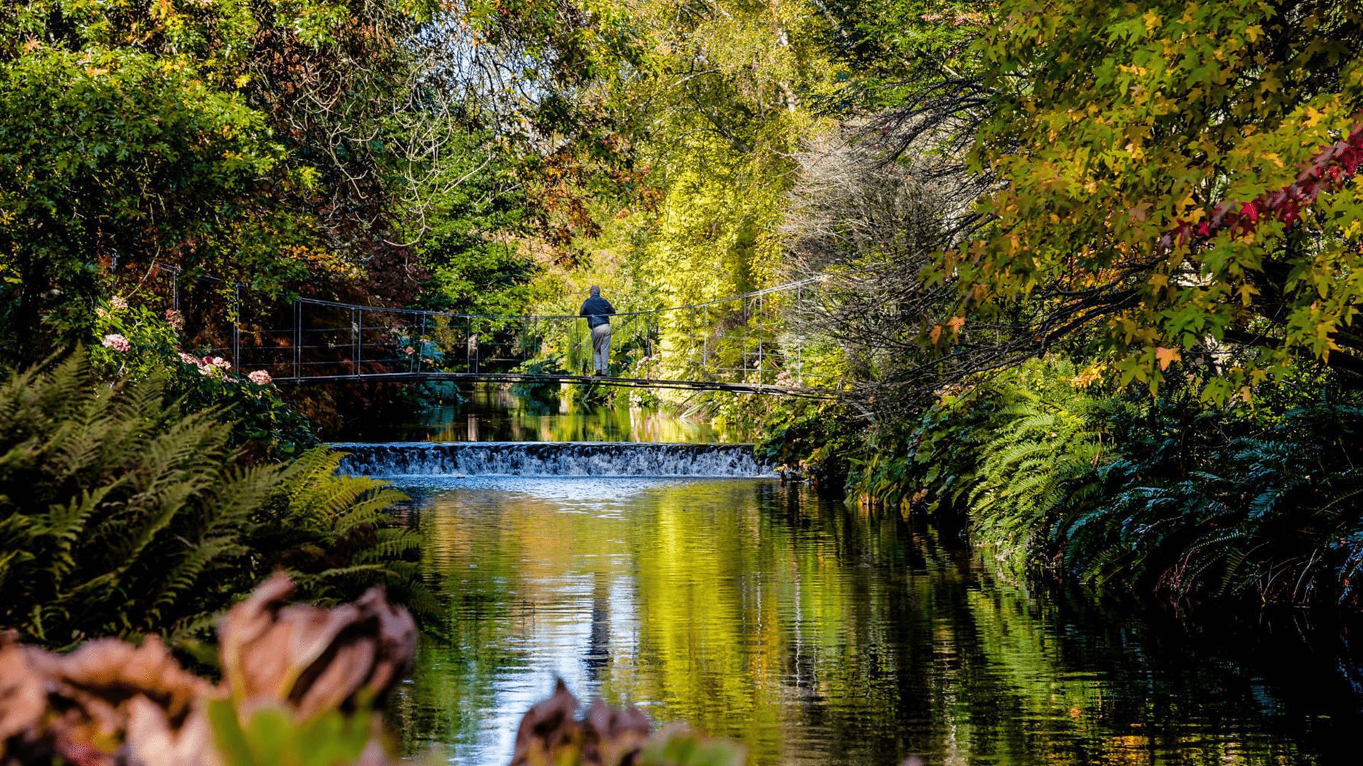 Mount Usher Gardens Co Wicklow