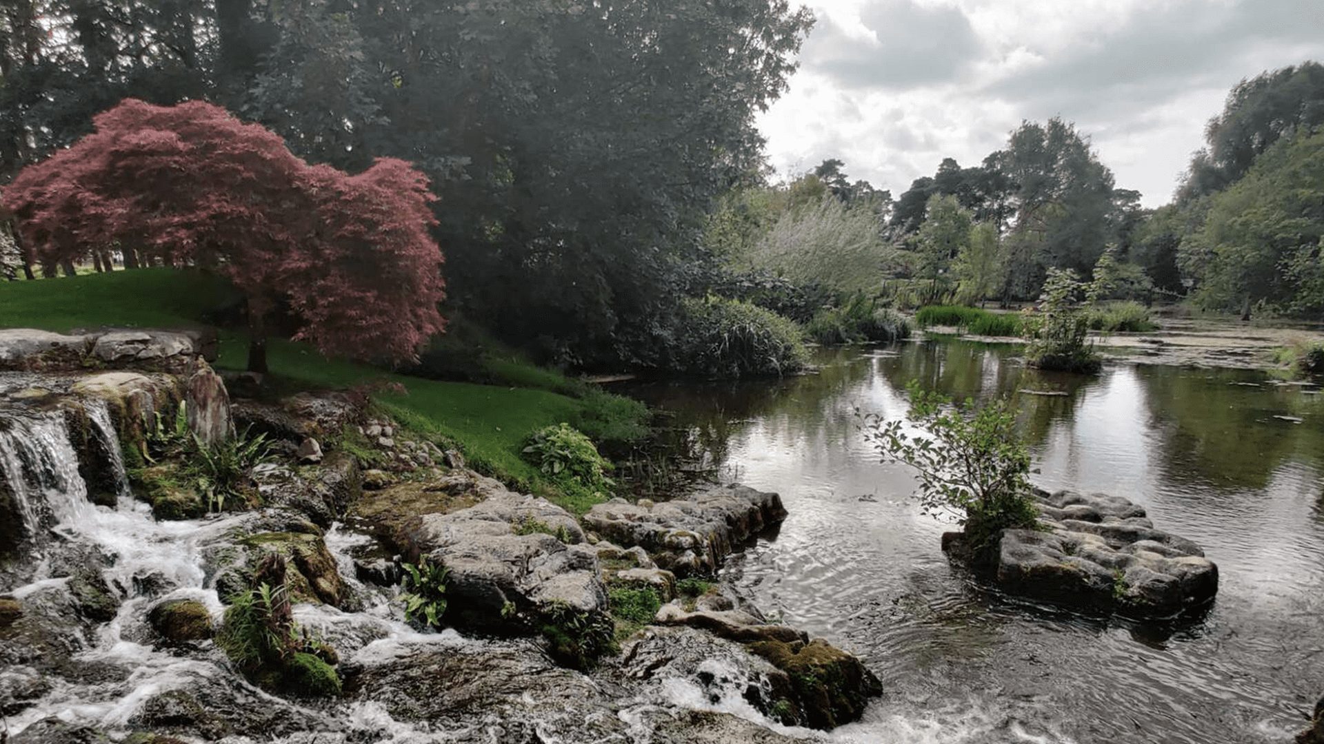 Waterfall Grounds Irish National Stud And Gardens Co Kildare