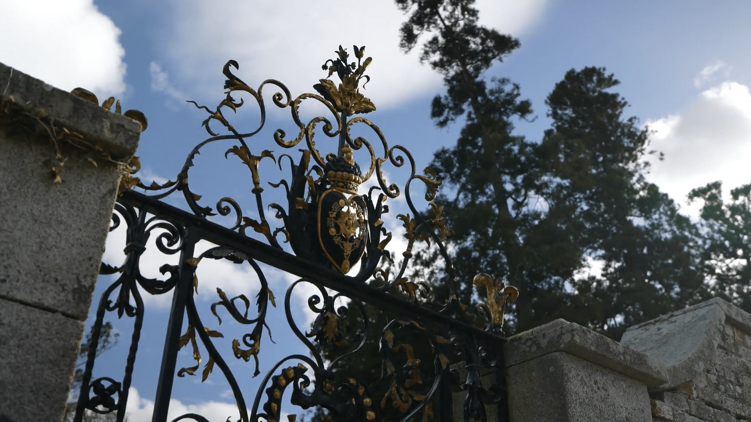 Ornate black and gold ironwork gate at Powerscourt Gardens, Wicklow, Ireland, seen on a private garden tour from Dublin.