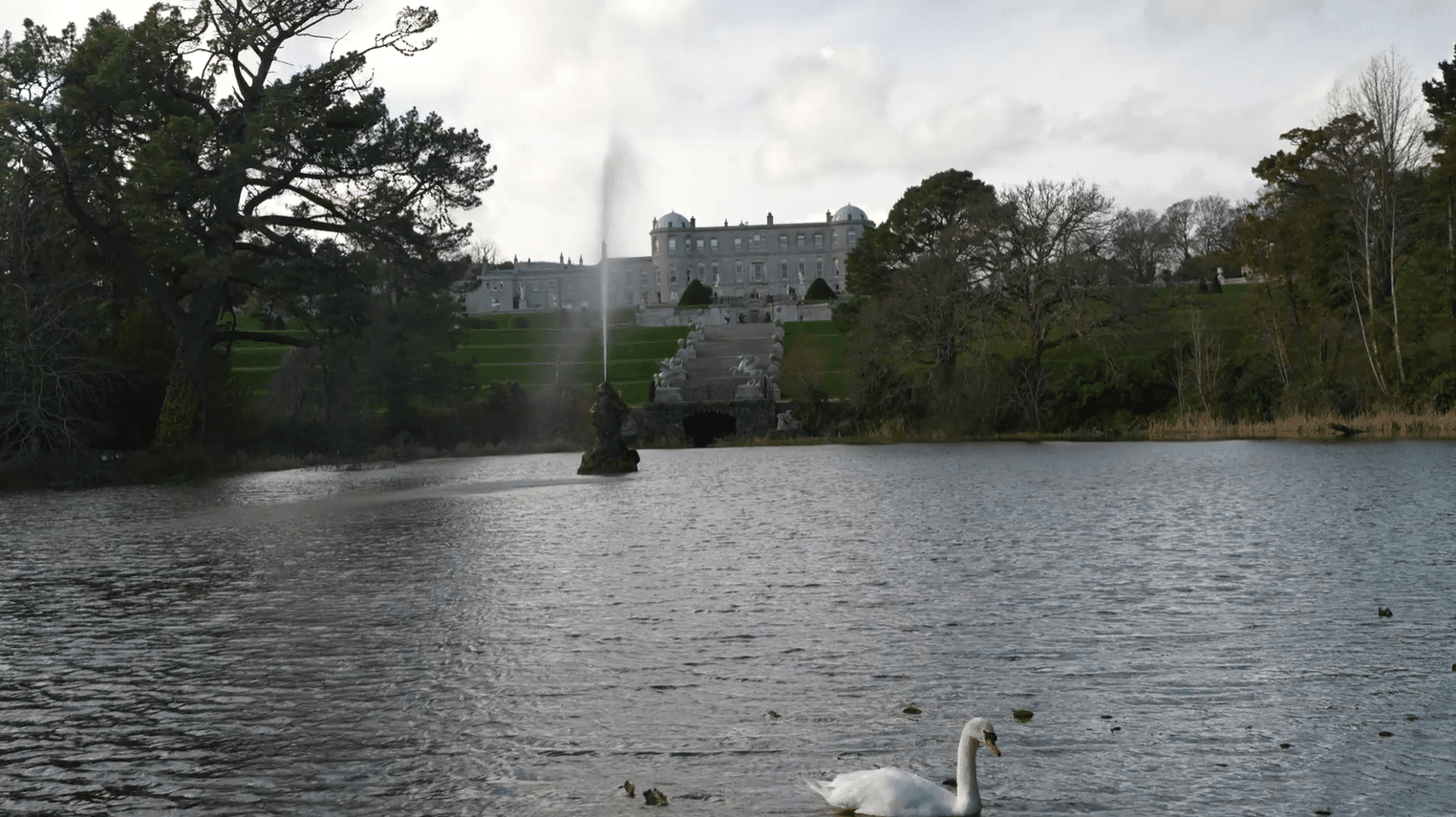 Powerscourt House and terraced gardens seen from across the lake with a swan in the foreground and the Triton fountain shooting skyward, County Wicklow, Ireland